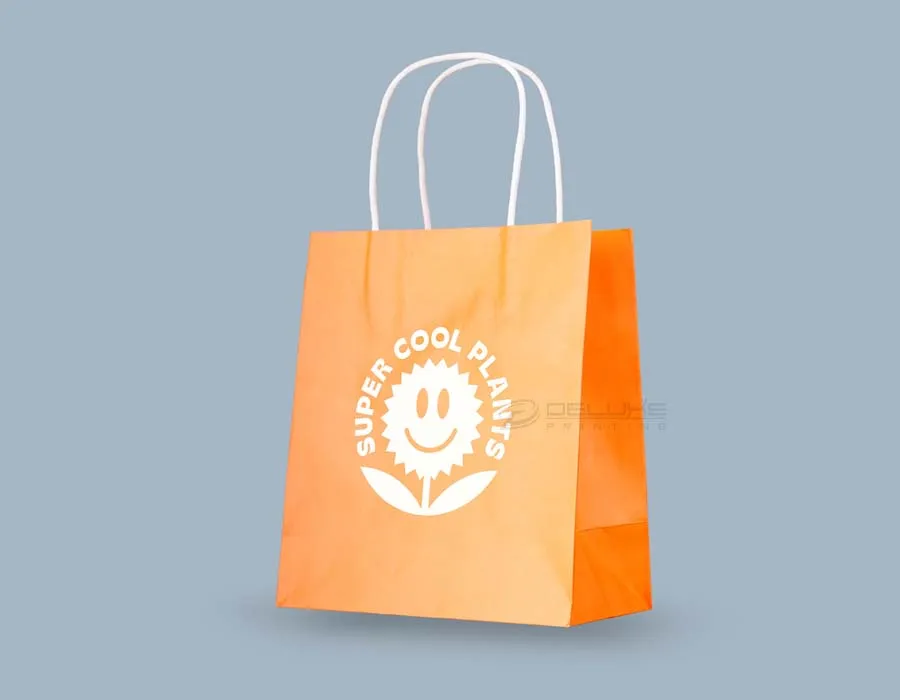 Kraft Bags Colors Branding Lahore