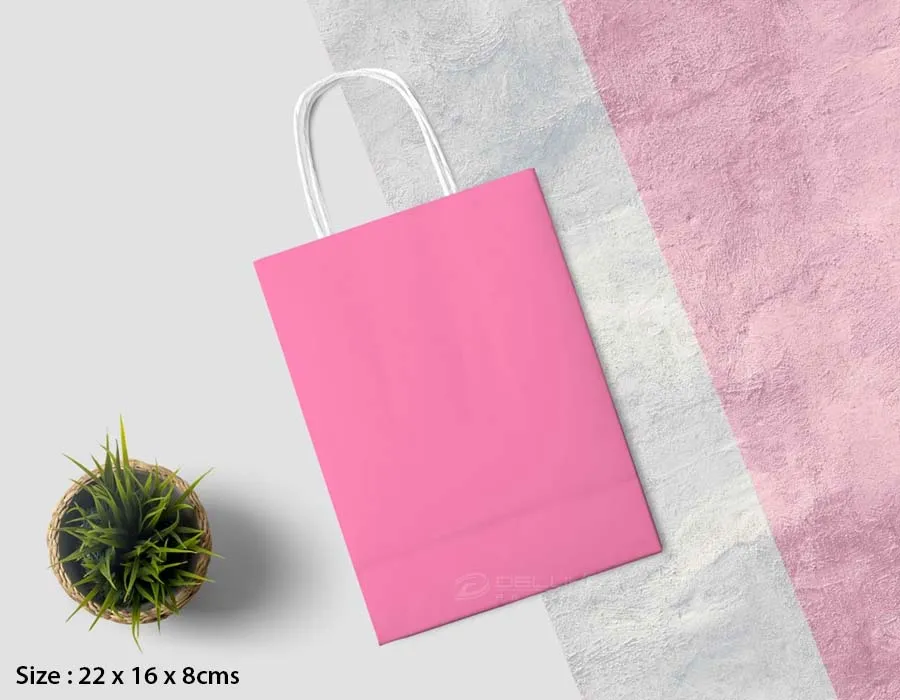 Kraft Bags Colors Printing Lahore