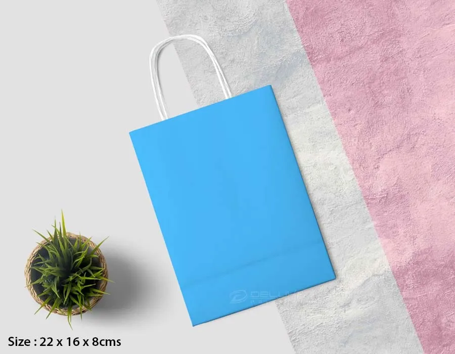 Kraft Bags Colors Printing Lahore