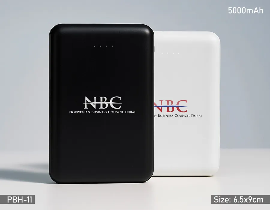 Custom Printed & Wireless Power Banks Lahore