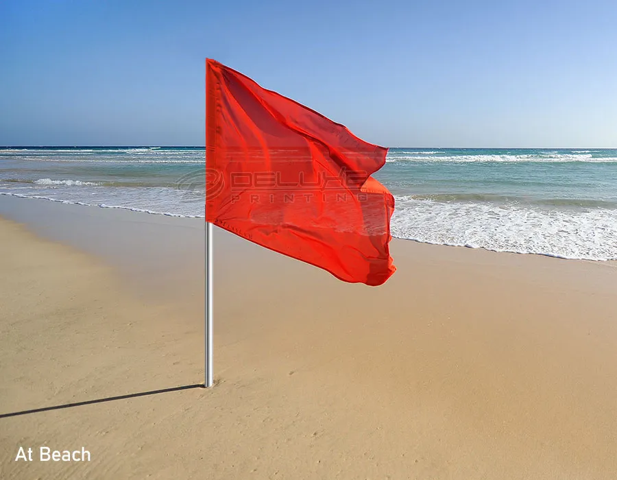 BUGGY FLAG (1 x 0.6mtr) Printing Lahore