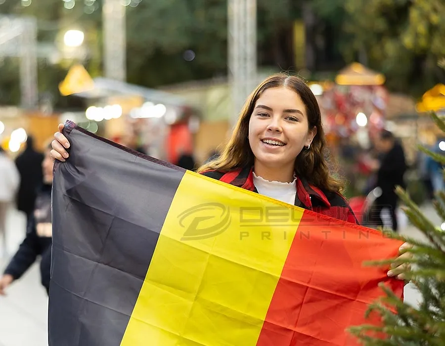 Germany hand Flags Printing Lahore