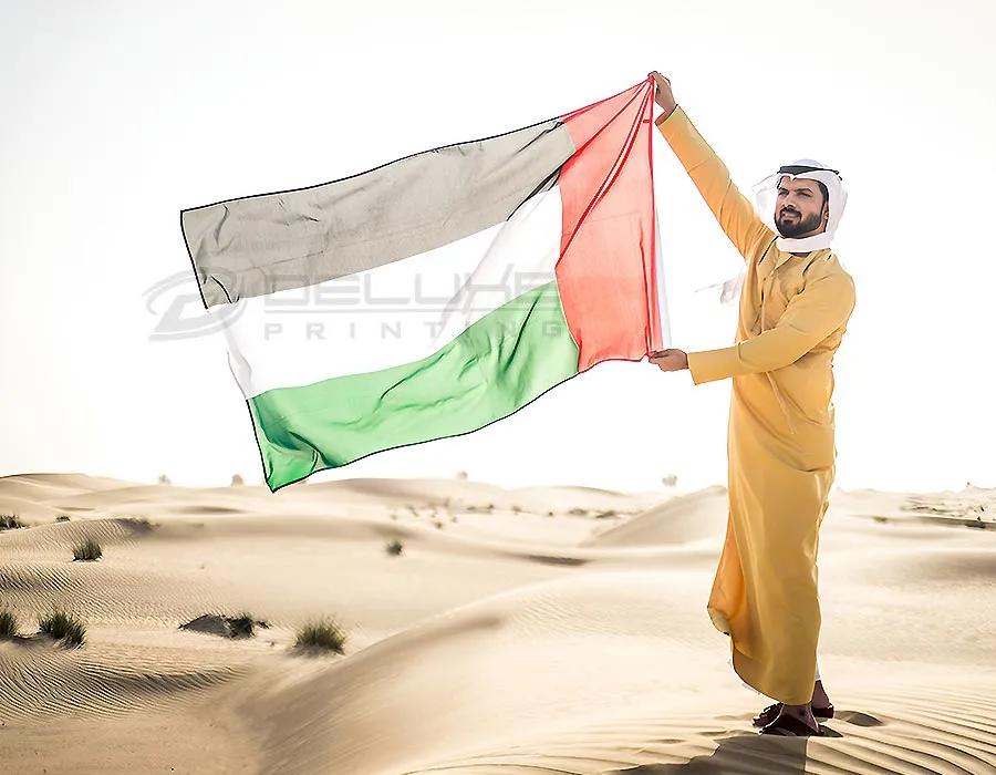Hand Held Flags in Desert