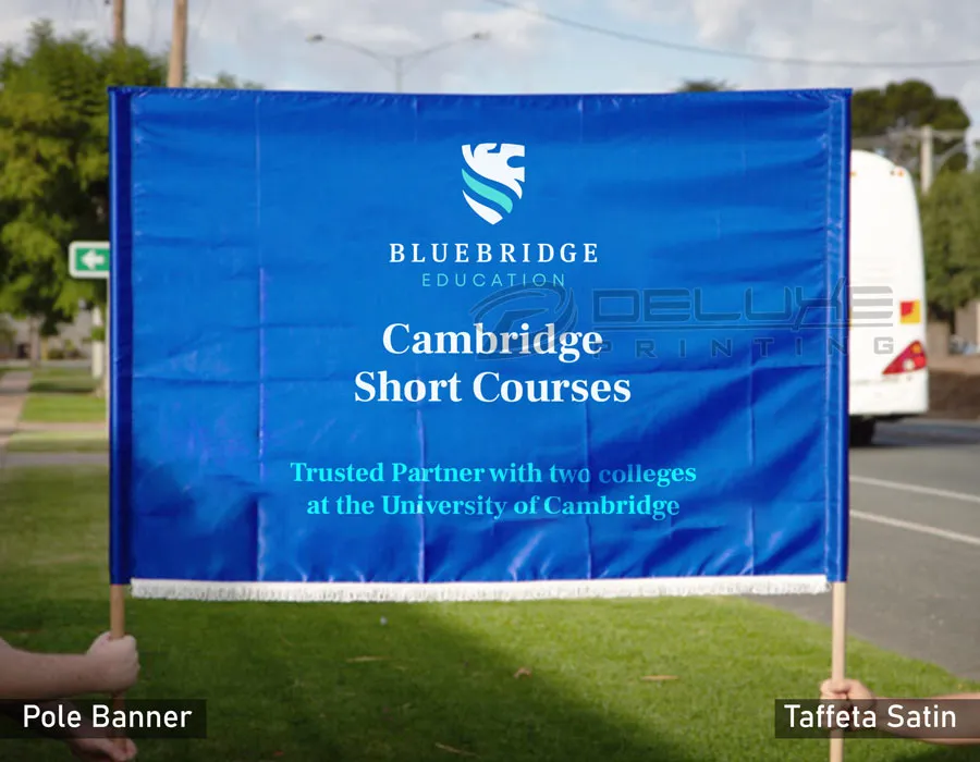 hand hel pole parade flags printing Lahore