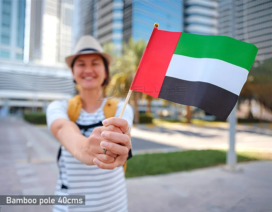 Nations Pole Flags Lahore