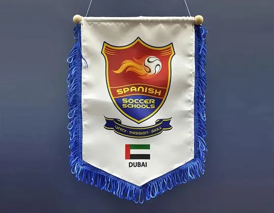 Pennant Flags in Lahore