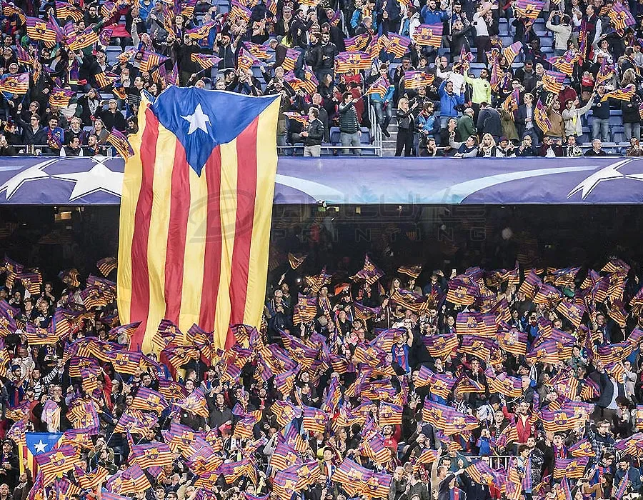 Larg Stadium Flags Printing in Lahore