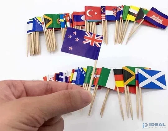  Toothpick Flags Lahore