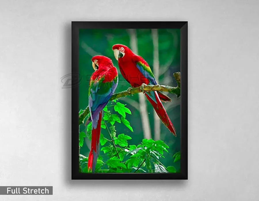 Picture Wooden Frames Lahore